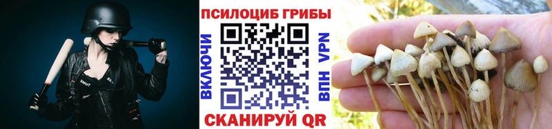 Псилоцибиновые грибы Psilocybe  дарк нет наркотические препараты  Змеиногорск 